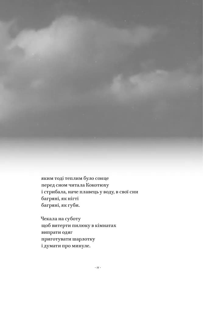 Вірші з бійниці — мініатюра 6