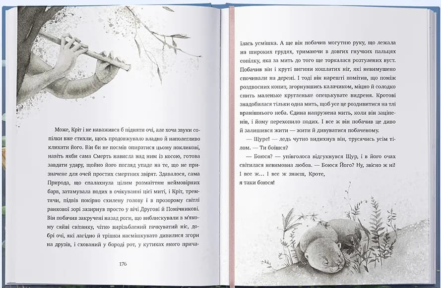 Вітер у вербах (Nebo BookLab Publishing) — мініатюра 4