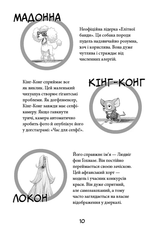 Лапа лапу миє. Вулична банда. Книга 1 — мініатюра 6