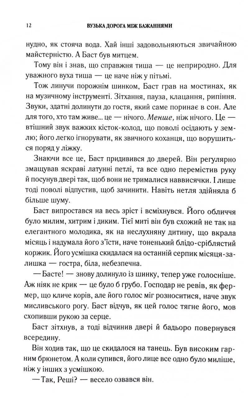 Вузька дорога між бажаннями — мініатюра 6