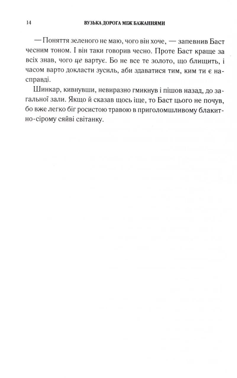 Вузька дорога між бажаннями — мініатюра 8
