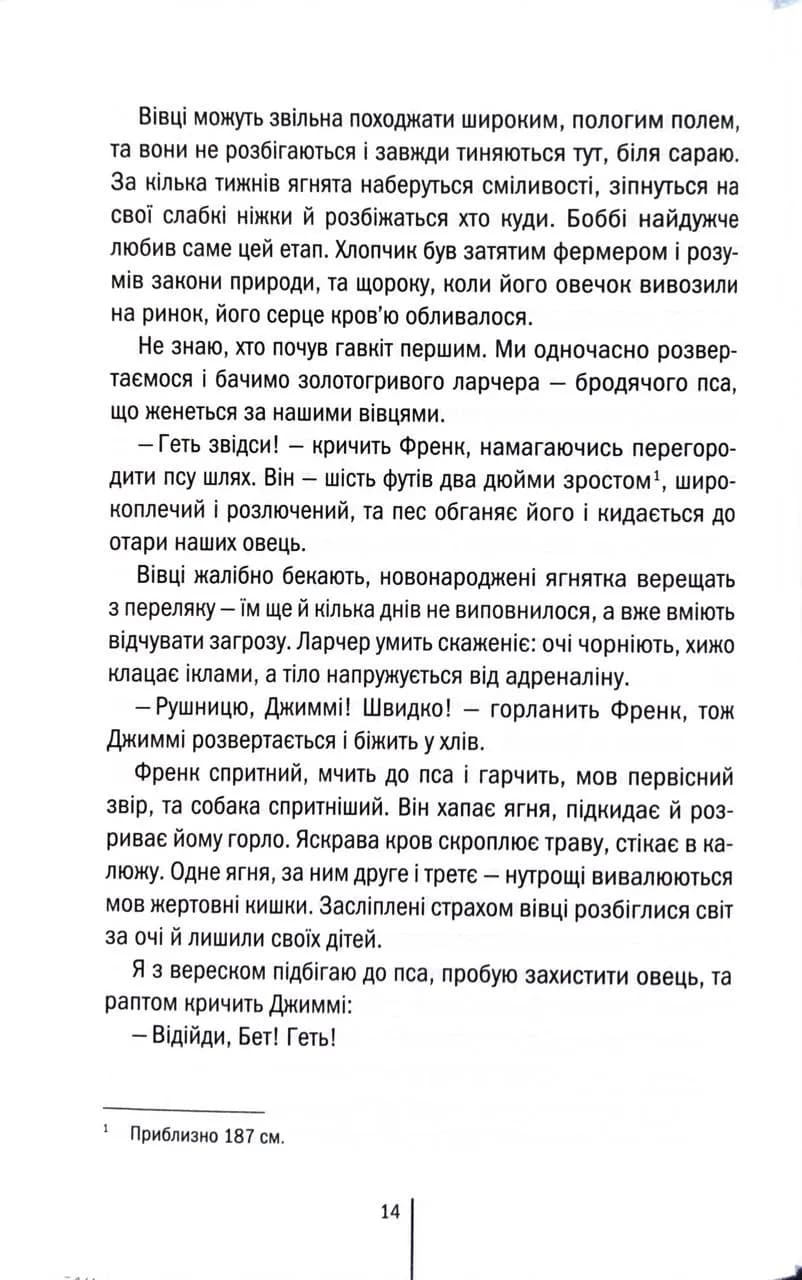 Зруйнована країна — мініатюра 9