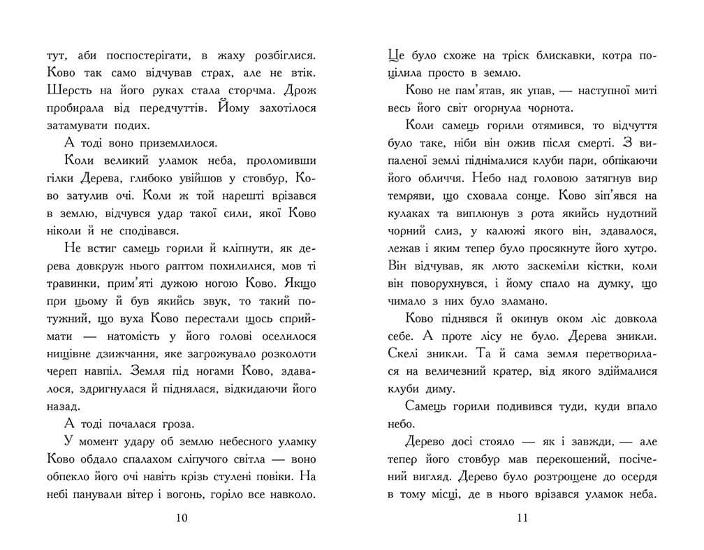 Звіродухи. Падіння звірів. Полум’яний приплив. Книга 4 — мініатюра 5