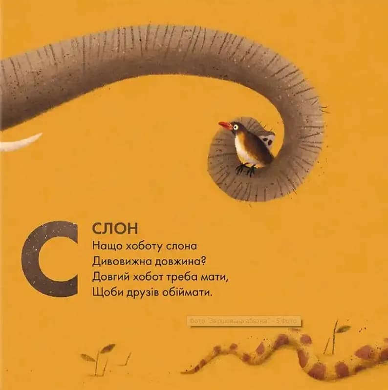 Звіршована абетка — мініатюра 9