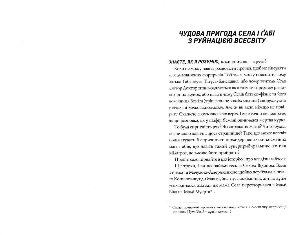 Сел і Ґабі ламають всесвіт. Книга 1 — мініатюра 2