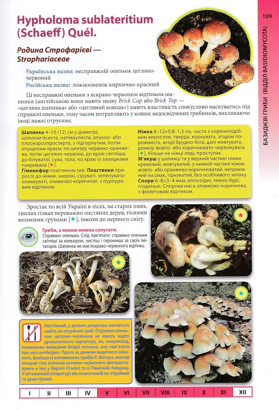 Гриби України. Атлас-довідник. 2-ге видання — мініатюра 5