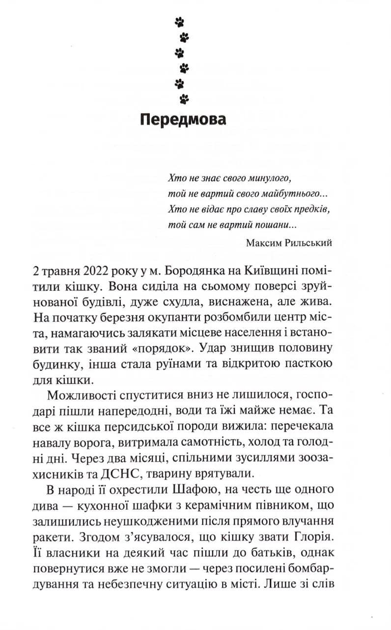 9 життів кішки Шафи — мініатюра 2