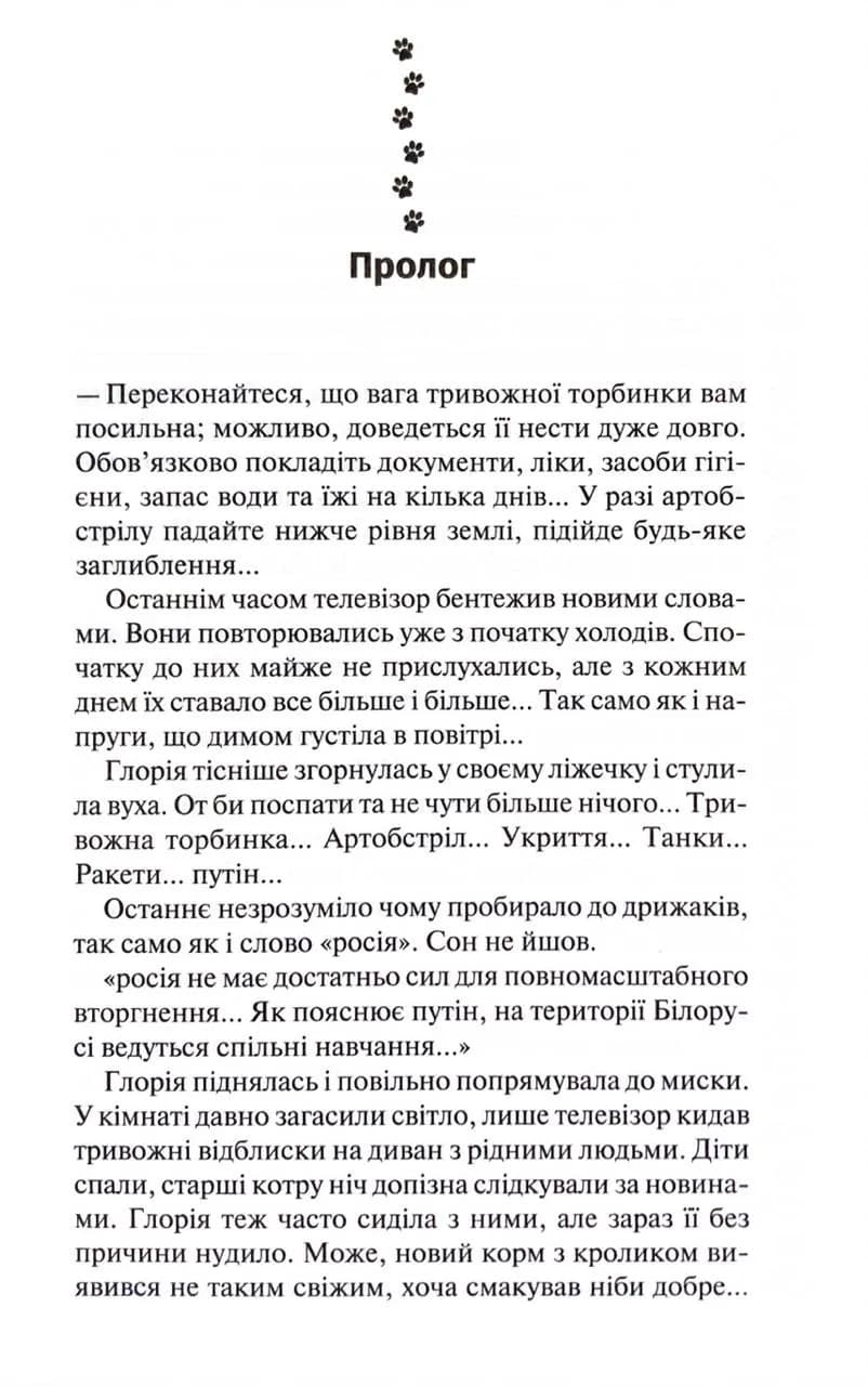 9 життів кішки Шафи — мініатюра 4