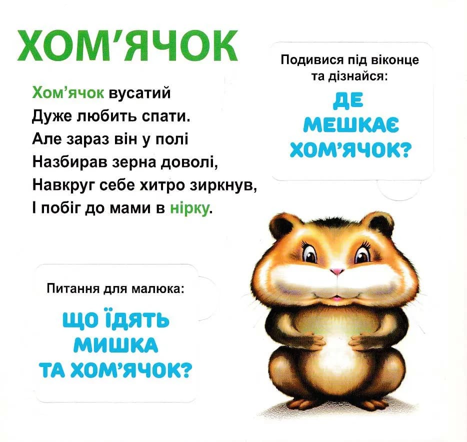 Хто де живе? 33 Віконця — мініатюра 4
