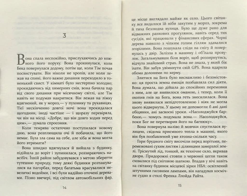 Без імені — мініатюра 6