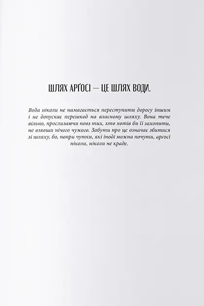 Чорна тінь — мініатюра 3