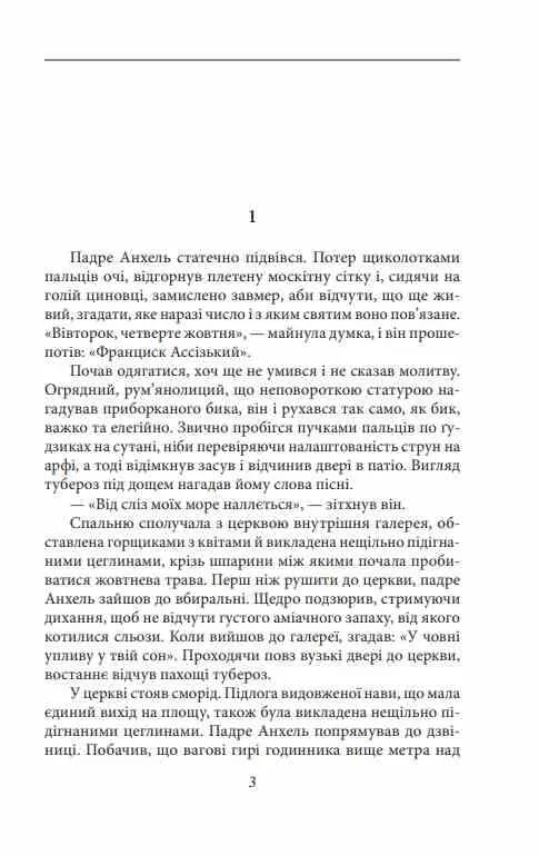 Чорні дні — мініатюра 4