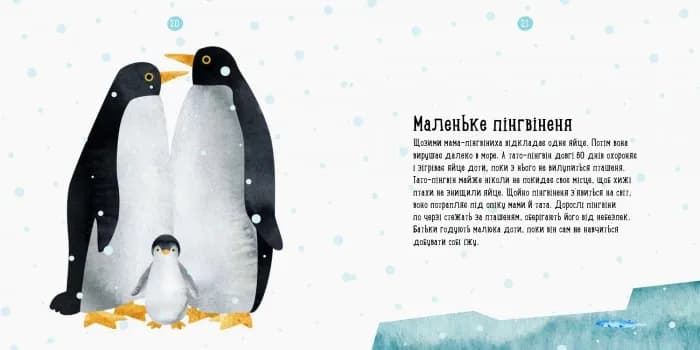 Де живе пінгвін? Професор Карапуз — мініатюра 2