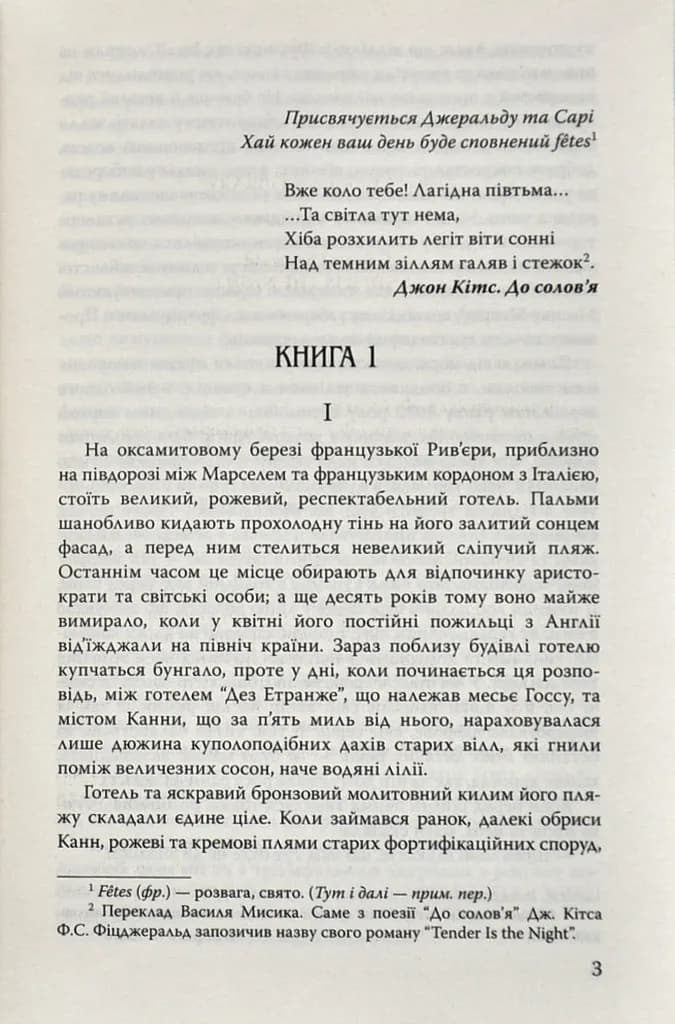 Дише ніжністю ніч — мініатюра 2