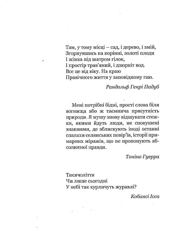Діти папороті (м`яка обкладинка) — мініатюра 2