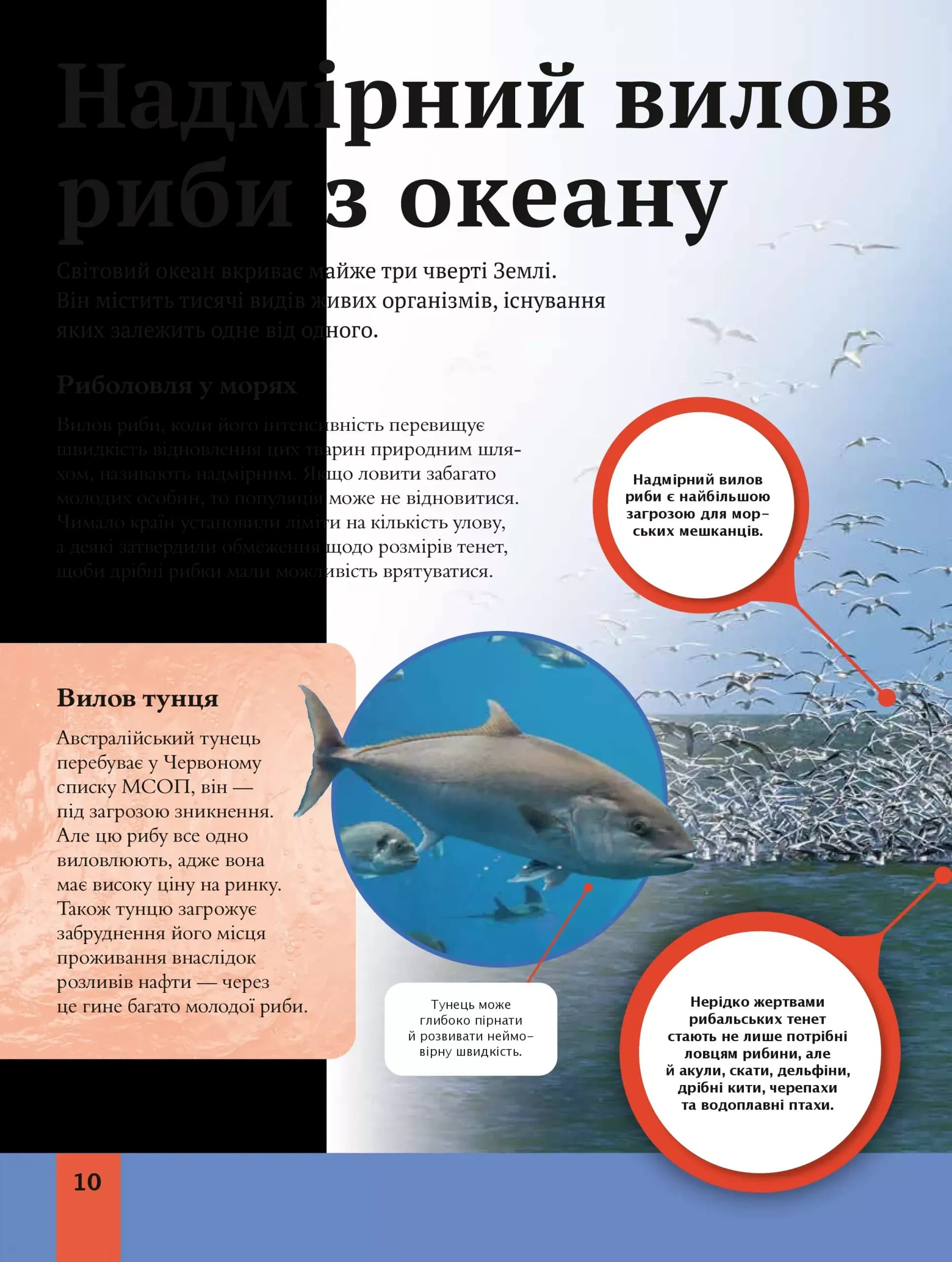 Дитяча енциклопедія довкілля — мініатюра 9