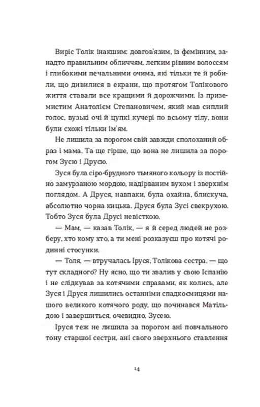 Драбина — мініатюра 9