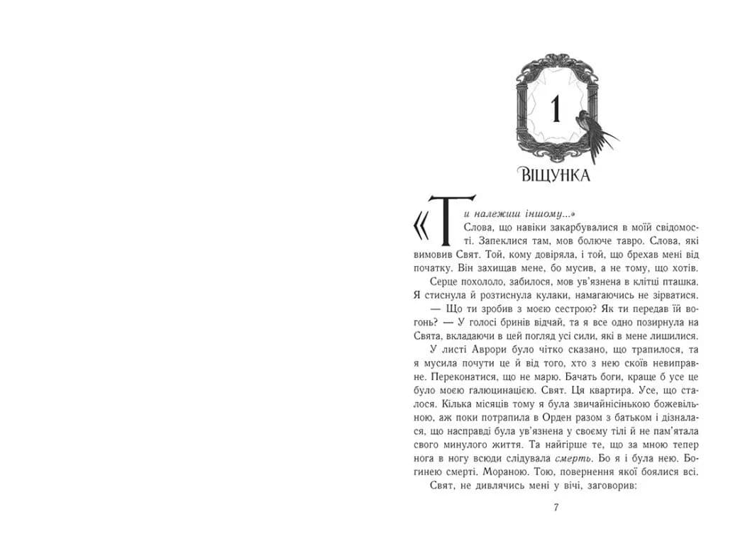 Двері у вирій — мініатюра 4