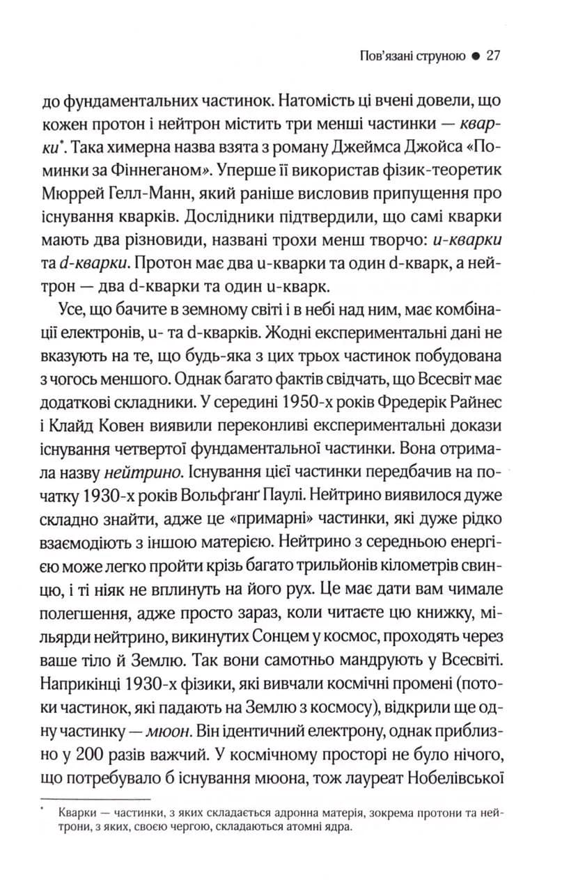 Елегантний Всесвіт — мініатюра 8
