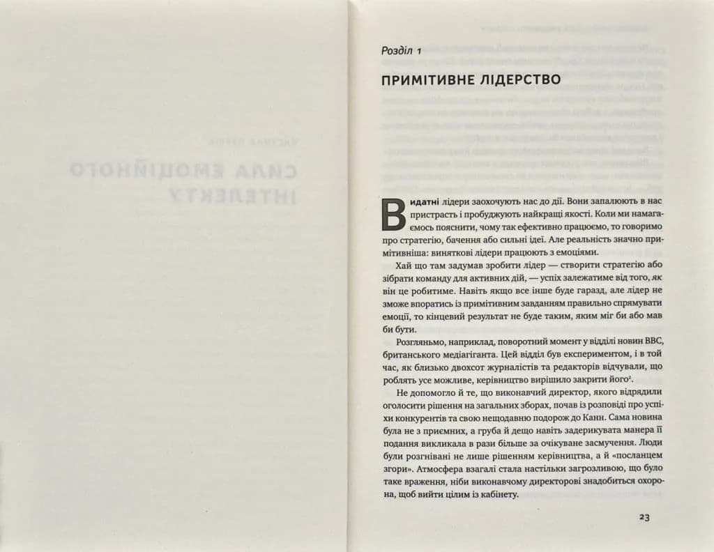 Емоційний інтелект лідера — мініатюра 4