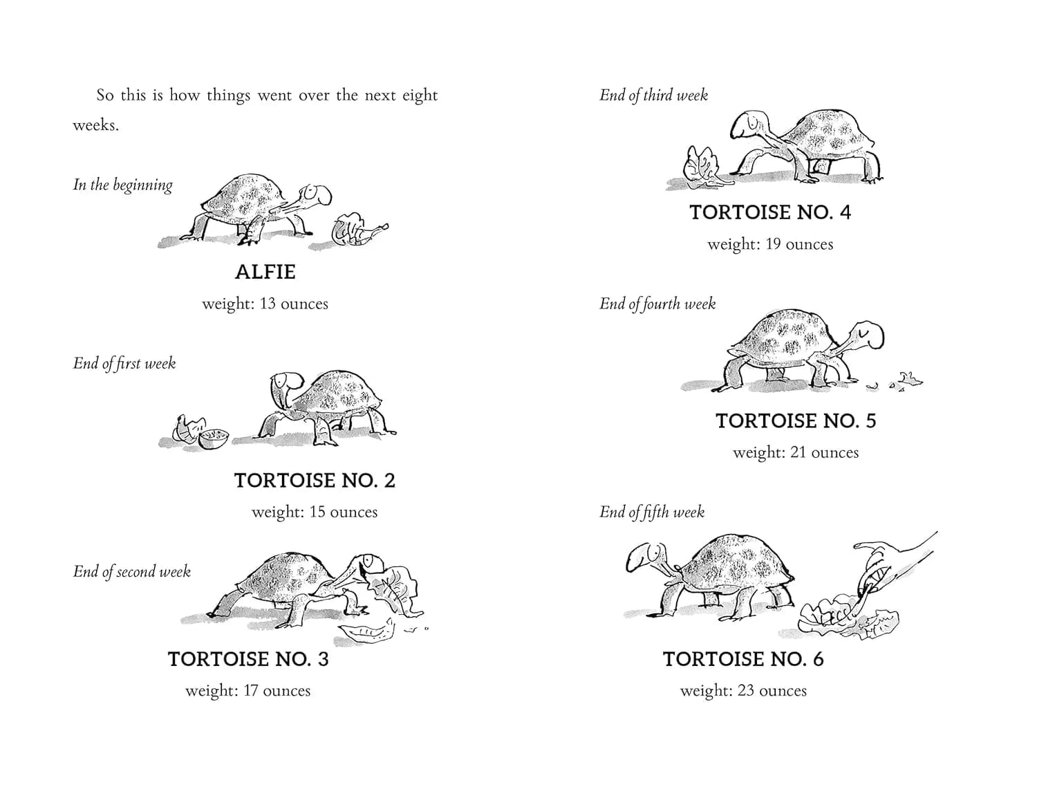 Esio Trot — мініатюра 5