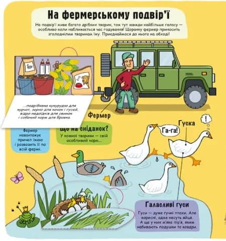 Маленькі дослідники. Ферма — мініатюра 4