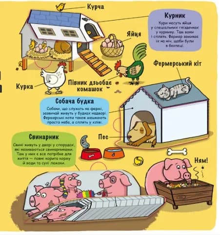 Маленькі дослідники. Ферма — мініатюра 5