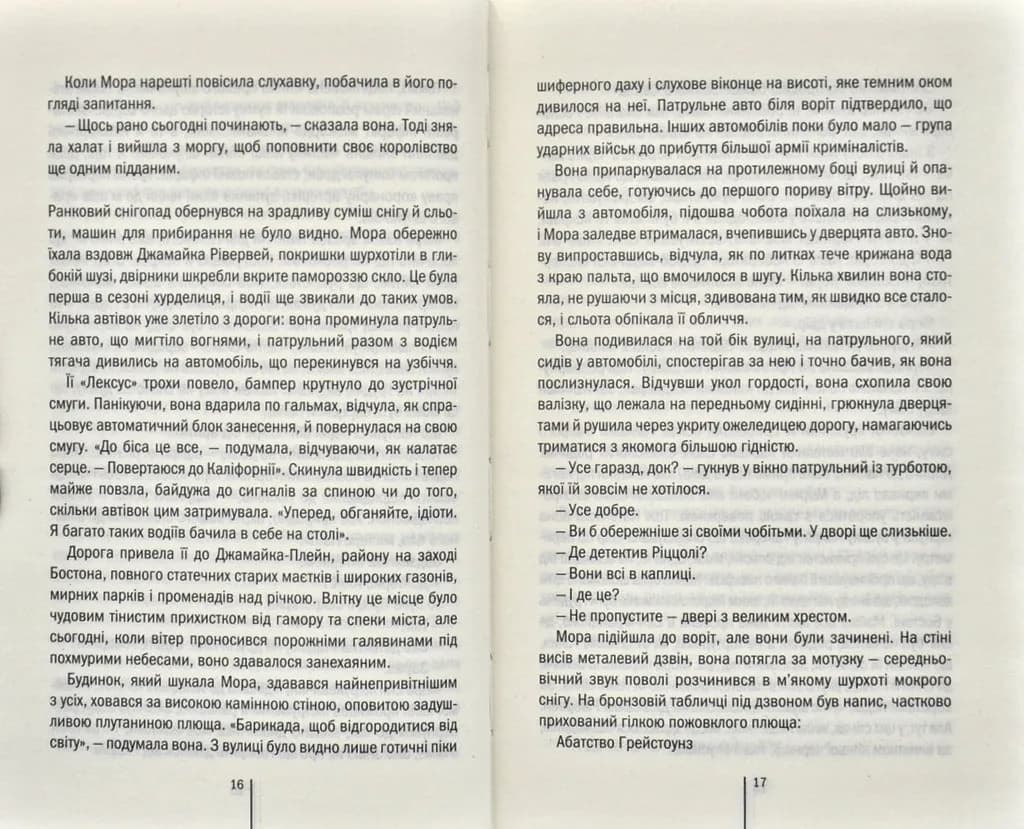 Грішна. Книга 3 — мініатюра 6