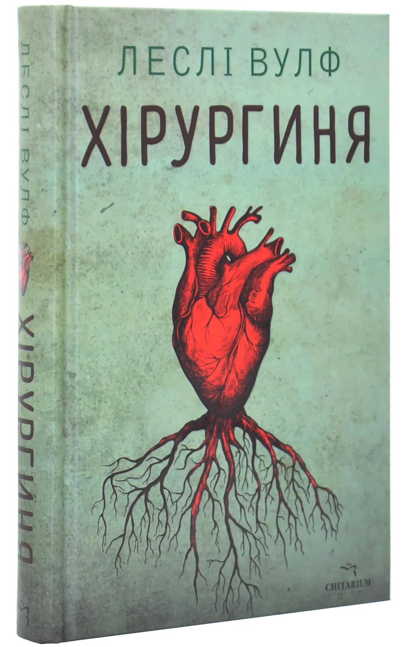 Хірургиня