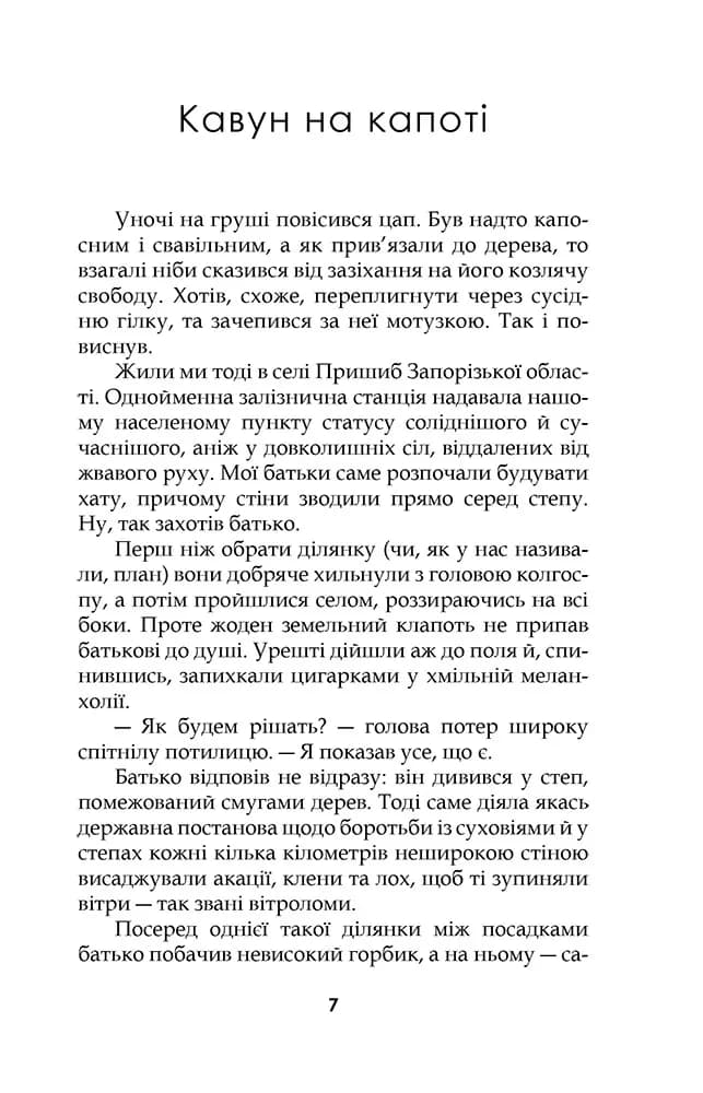 Хлопець у сталевих черевиках — мініатюра 6