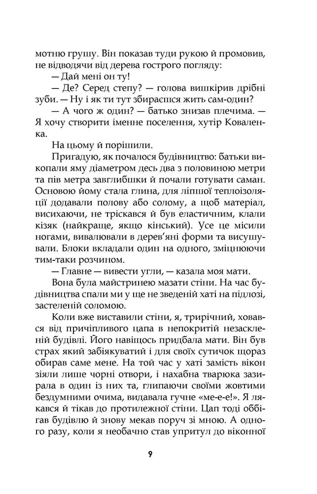 Хлопець у сталевих черевиках — мініатюра 7