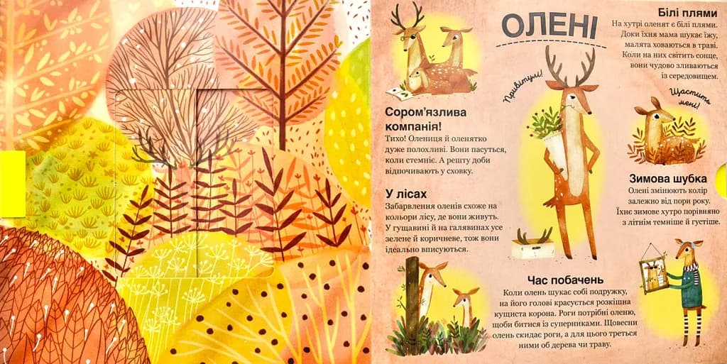Хто ховається між листям й у воді? — мініатюра 4