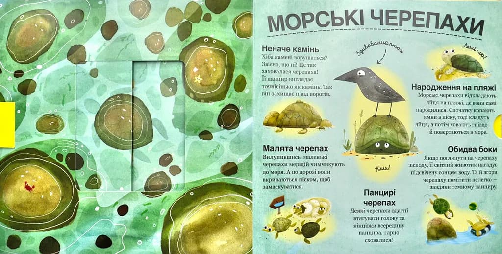 Хто ховається між листям й у воді? — мініатюра 5