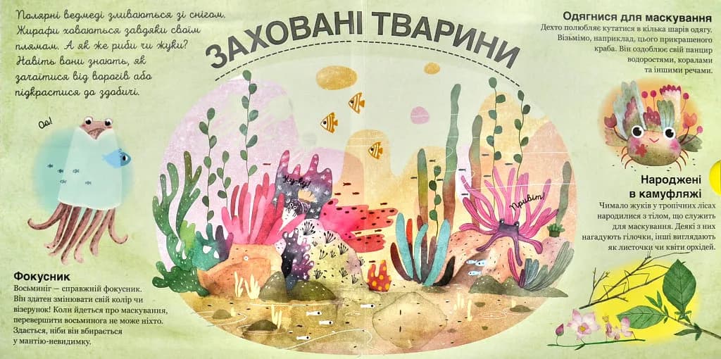 Хто ховається між листям й у воді? — мініатюра 2