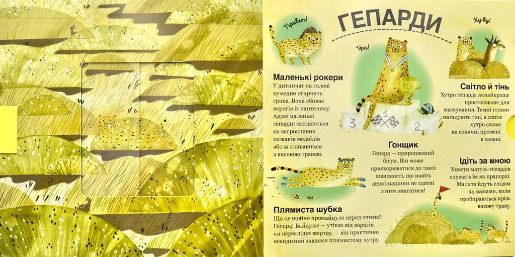 Хто ховається між листям й у воді? — мініатюра 3