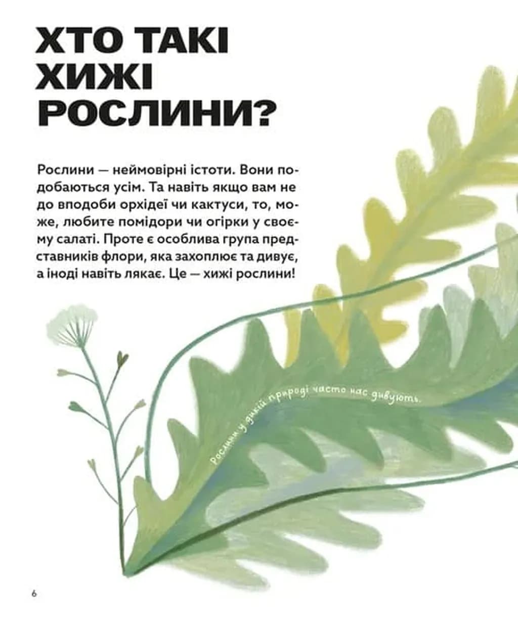 Хто такі хижі рослини? — мініатюра 2