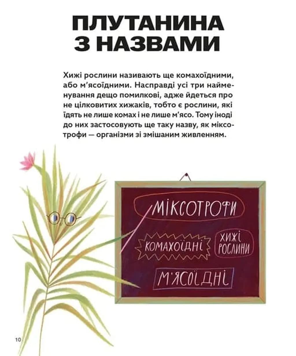 Хто такі хижі рослини? — мініатюра 6