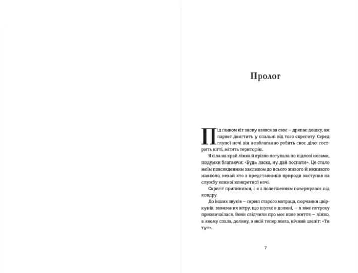 Ідеальна незнайомка — мініатюра 2