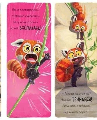 Як панди-малята навчились обіцяти — мініатюра 6