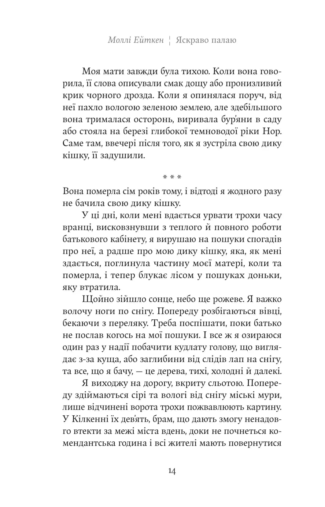Яскраво палаю — мініатюра 8
