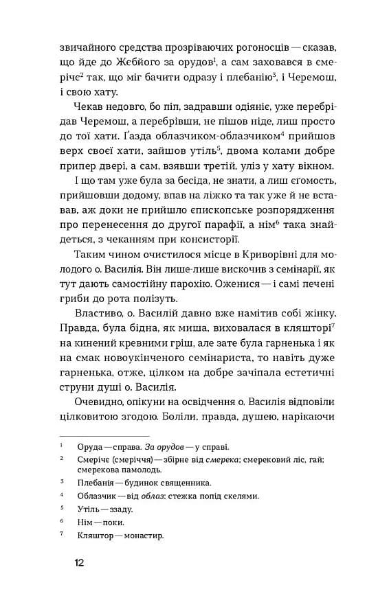Камінна душа — мініатюра 9