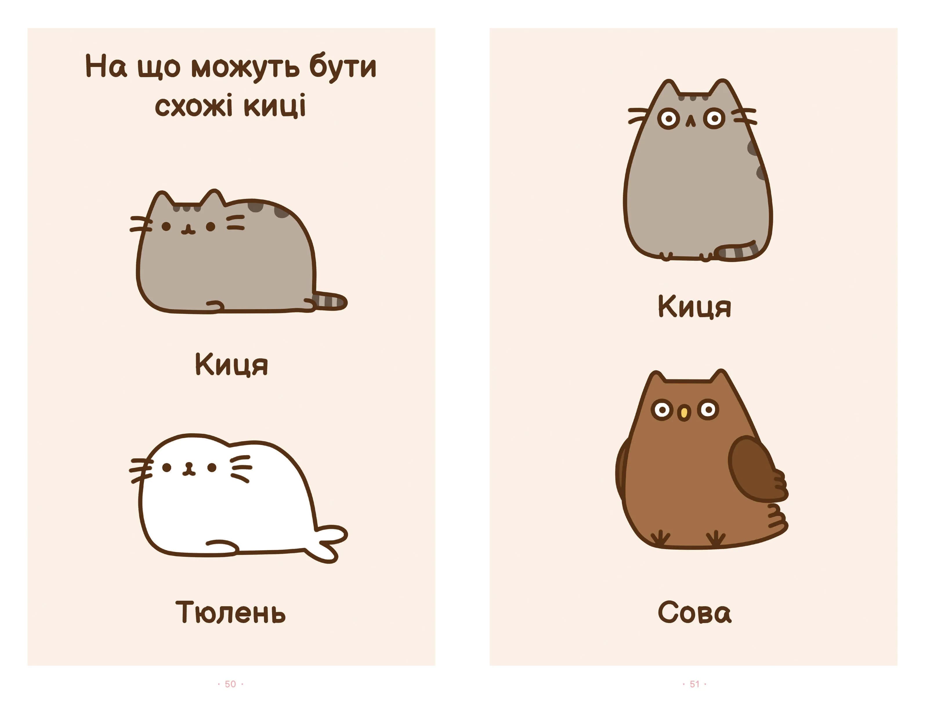 Киця на ім'я Пушин — мініатюра 2