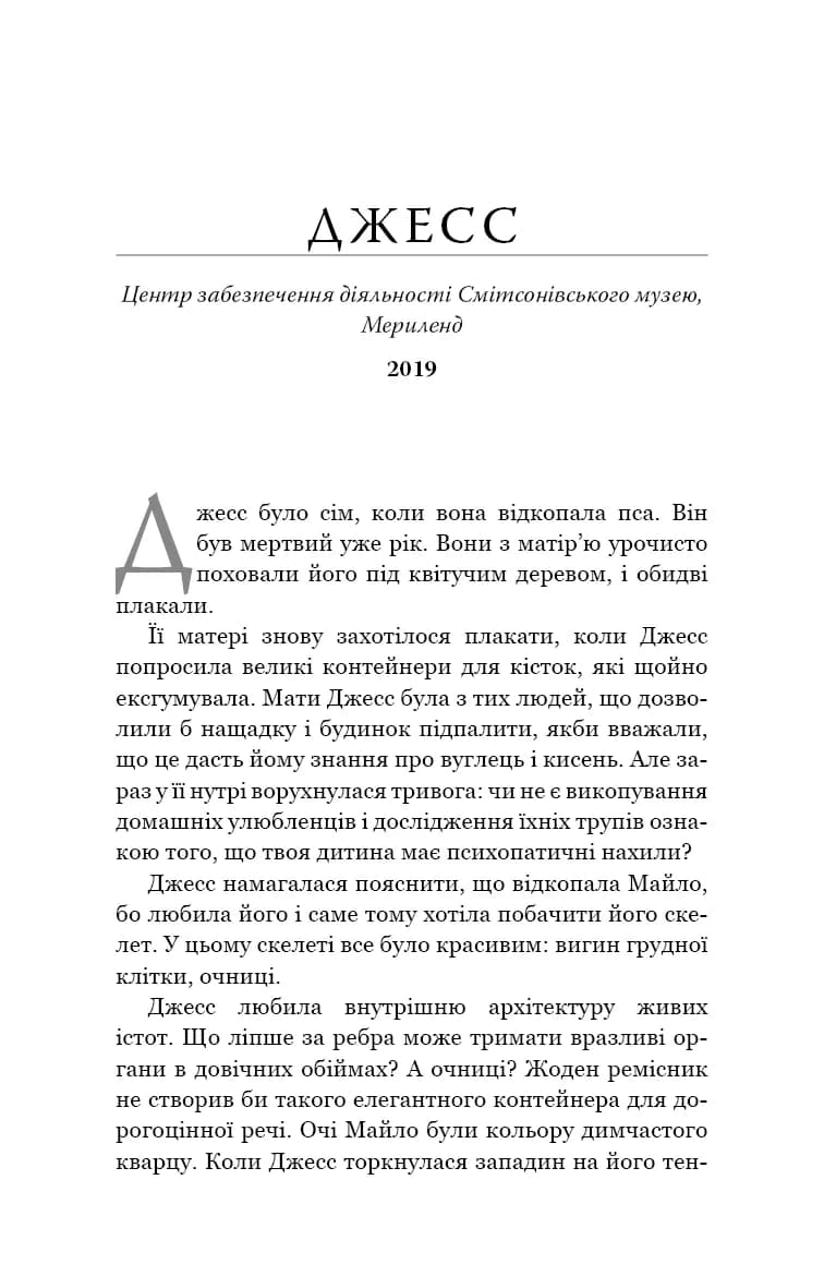 Кінь — мініатюра 7