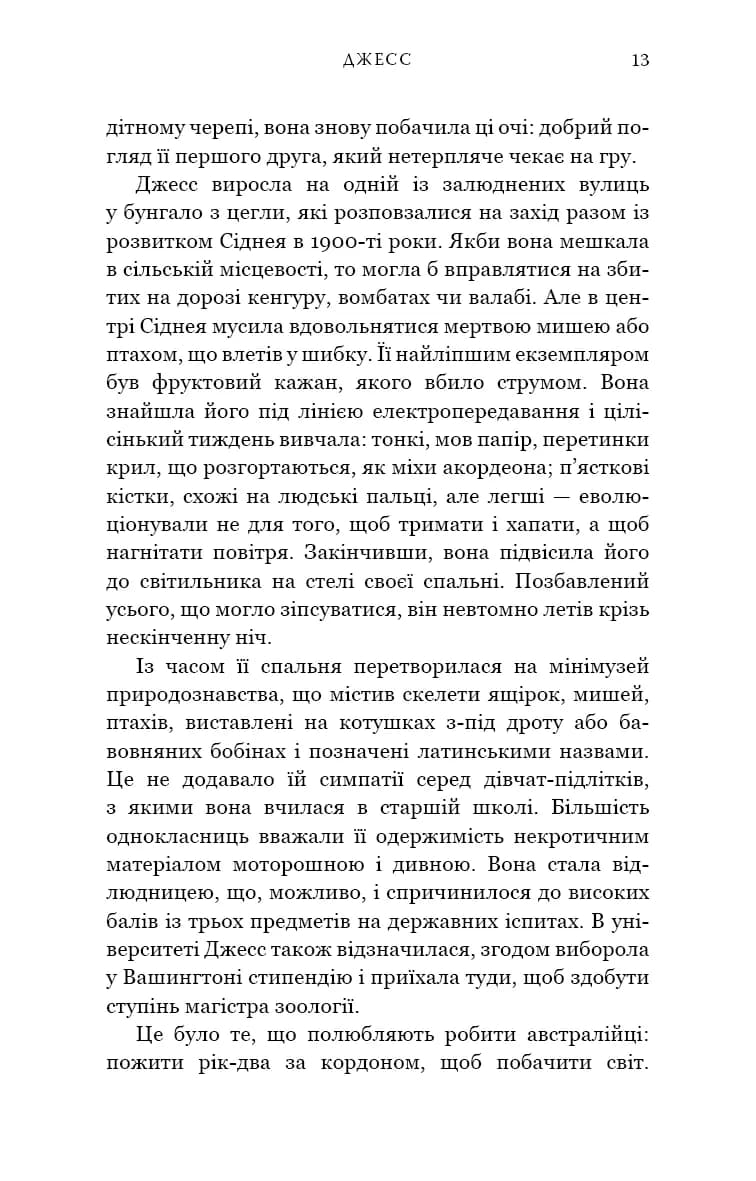 Кінь — мініатюра 8