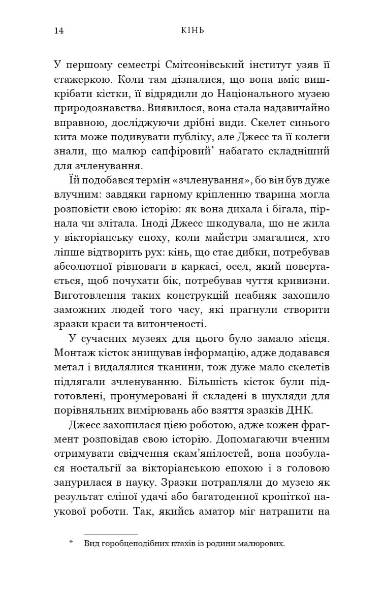 Кінь — мініатюра 9