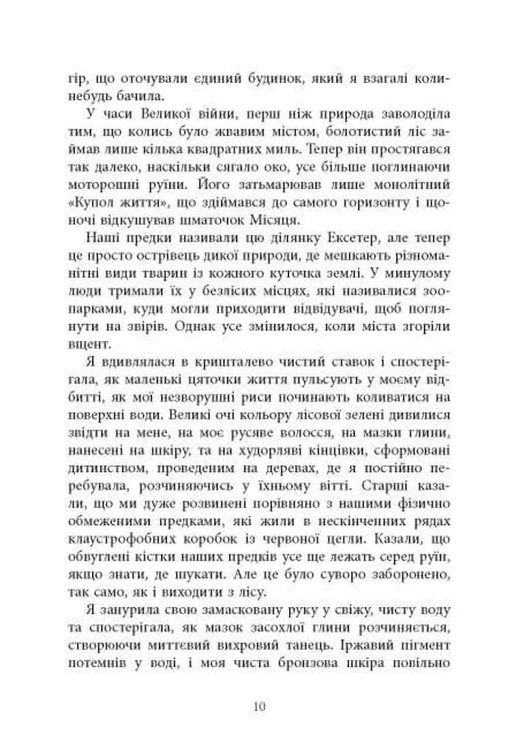 Книга Вогню — мініатюра 6