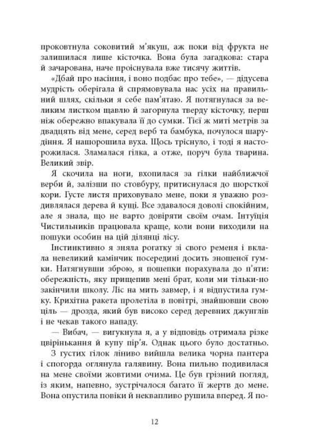 Книга Вогню — мініатюра 8