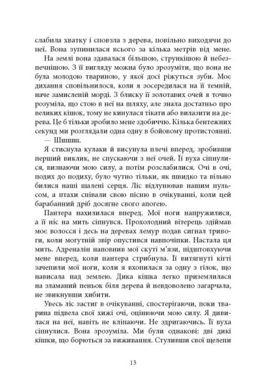 Книга Вогню — мініатюра 9