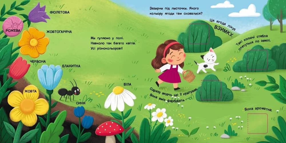 Книжка для малечі. Якого кольору. 24 віконця-хованки — мініатюра 2