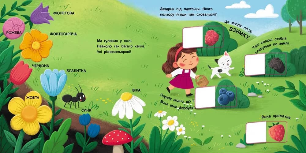 Книжка для малечі. Якого кольору. 24 віконця-хованки — мініатюра 3